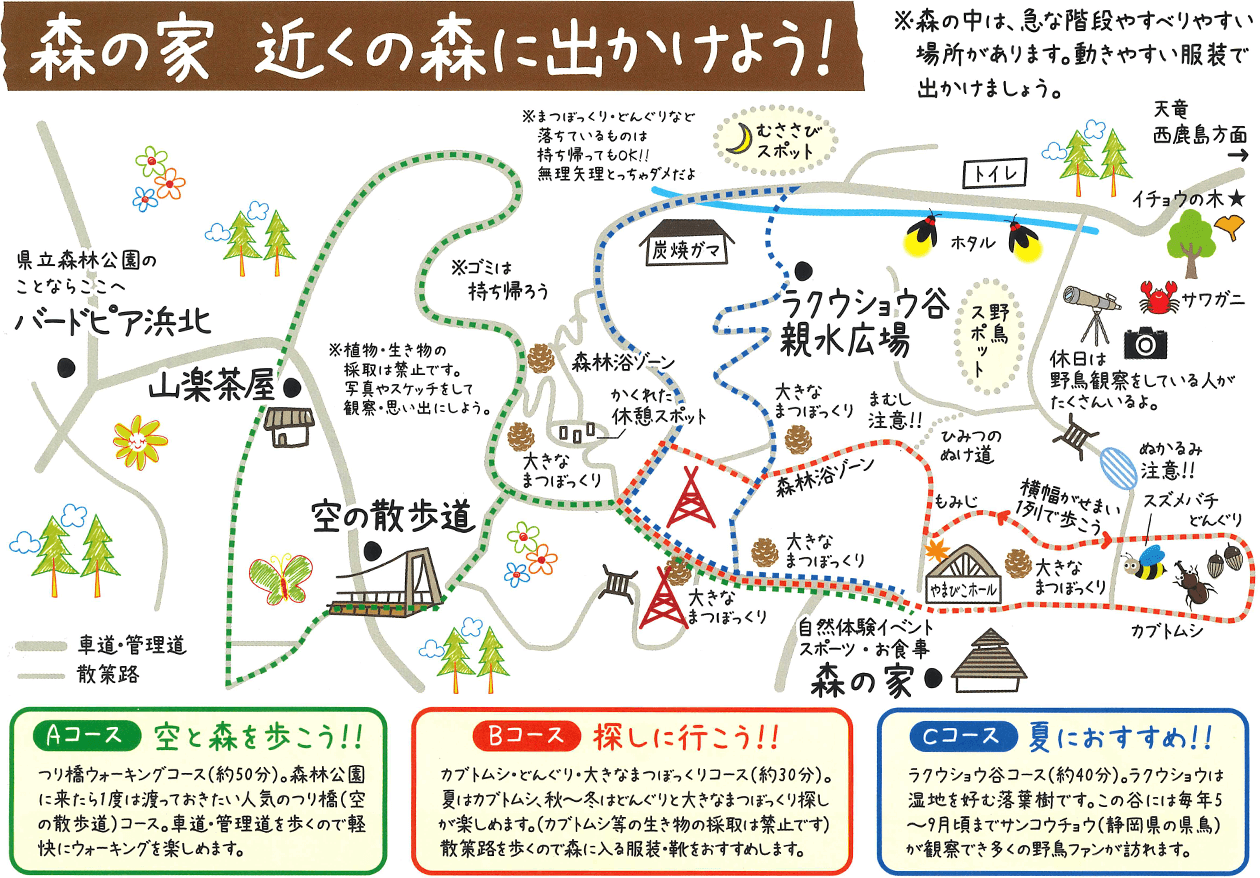 ウォーキングコース：森の家 近くの森に出かけよう！