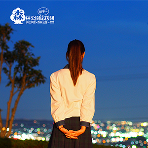 写真：レストランまつぼっくり