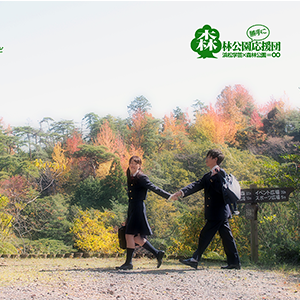 写真：みはらしの道（展望台）