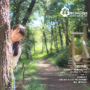 写真：冒険の森