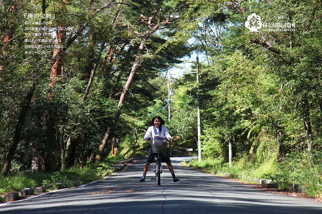 写真：冒険の森