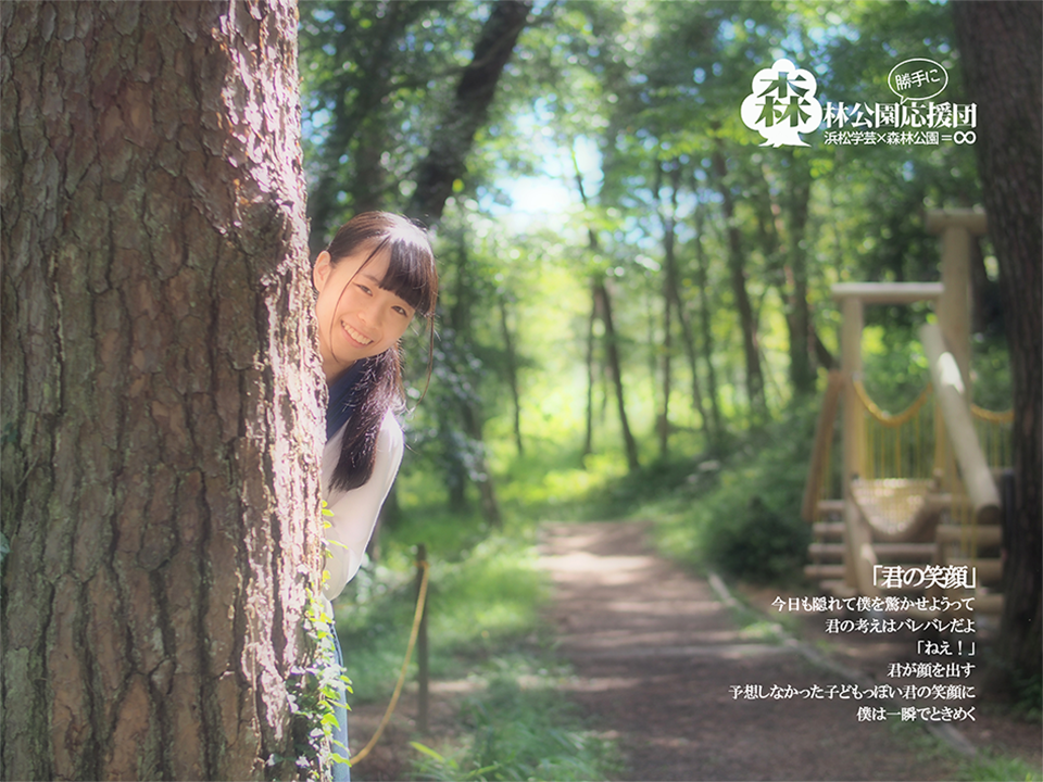 写真：冒険の森