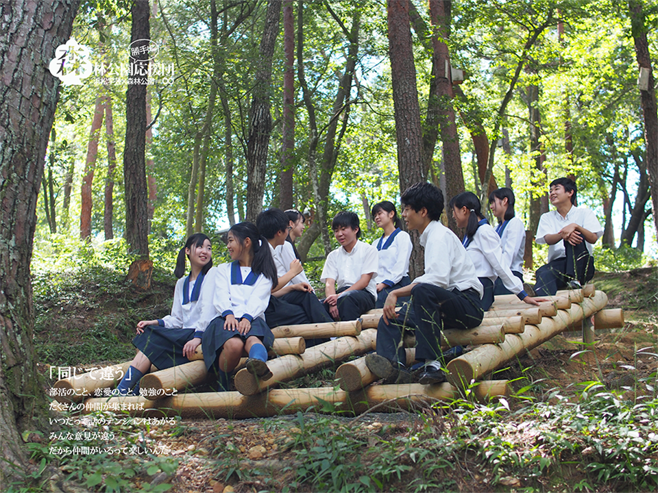 写真：冒険の森